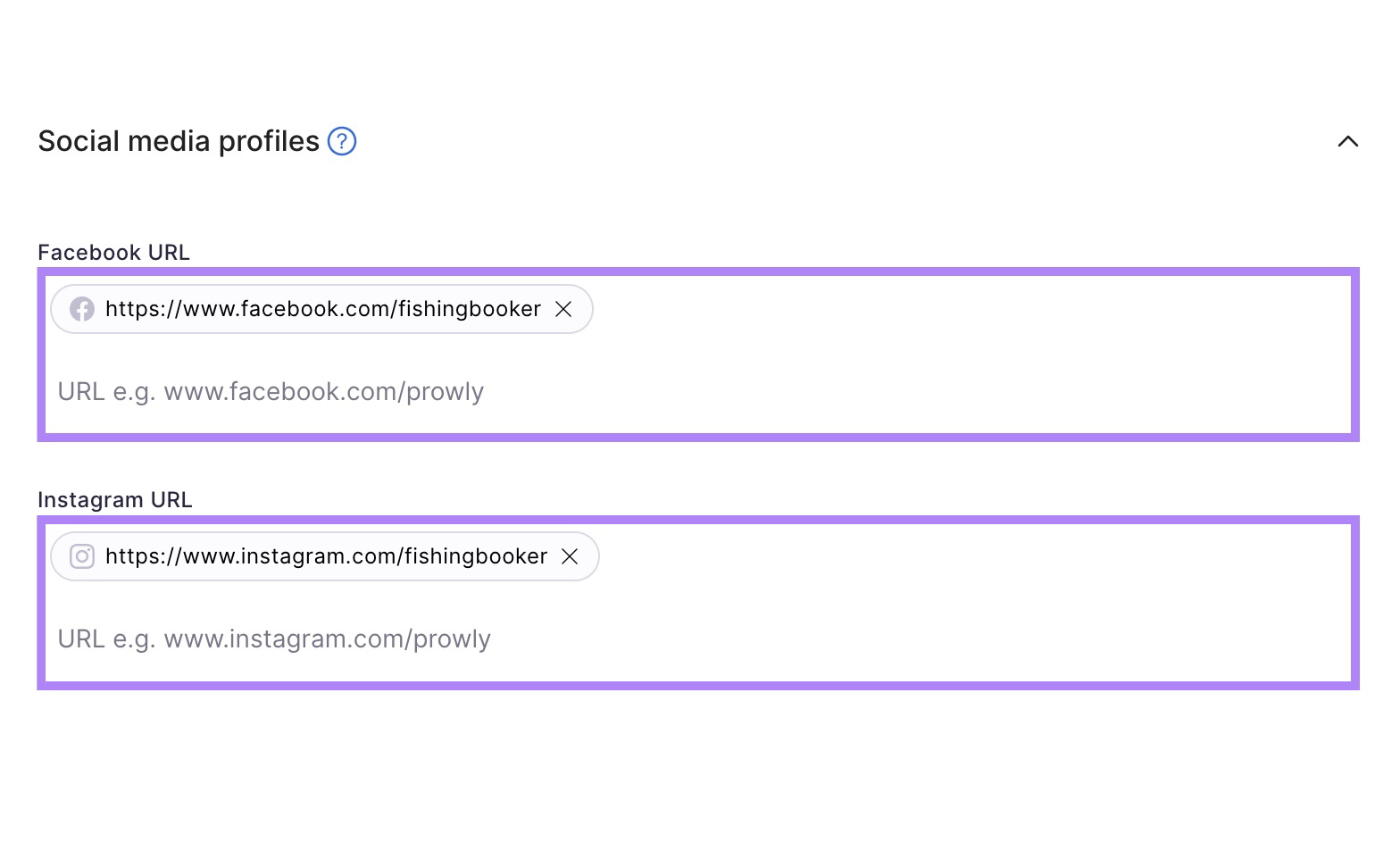 Links to social profiles on different platforms, including Facebook, X, and Instagram, on Brand Monitoring tool settings.