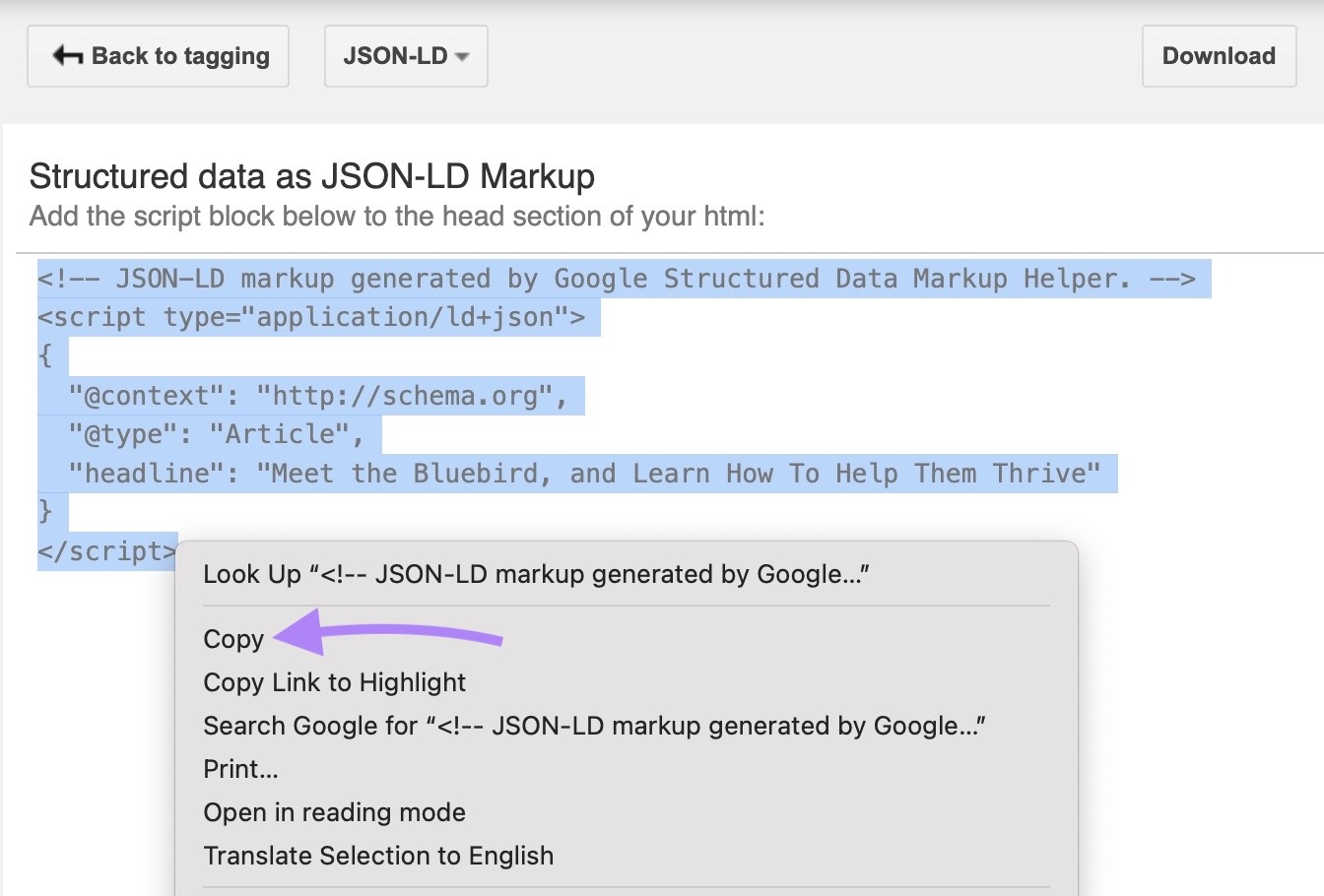 Markup code selected and copied on the Structured Data Markup Helper.
