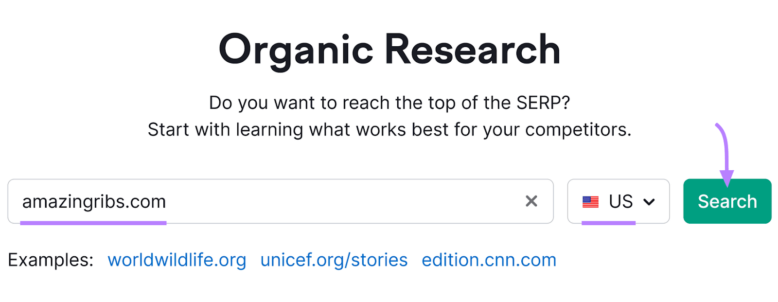 Organic Rankings tool with a search bar pre-filled with "amazingribs.com" and a green "Search" button with an arrow above it.