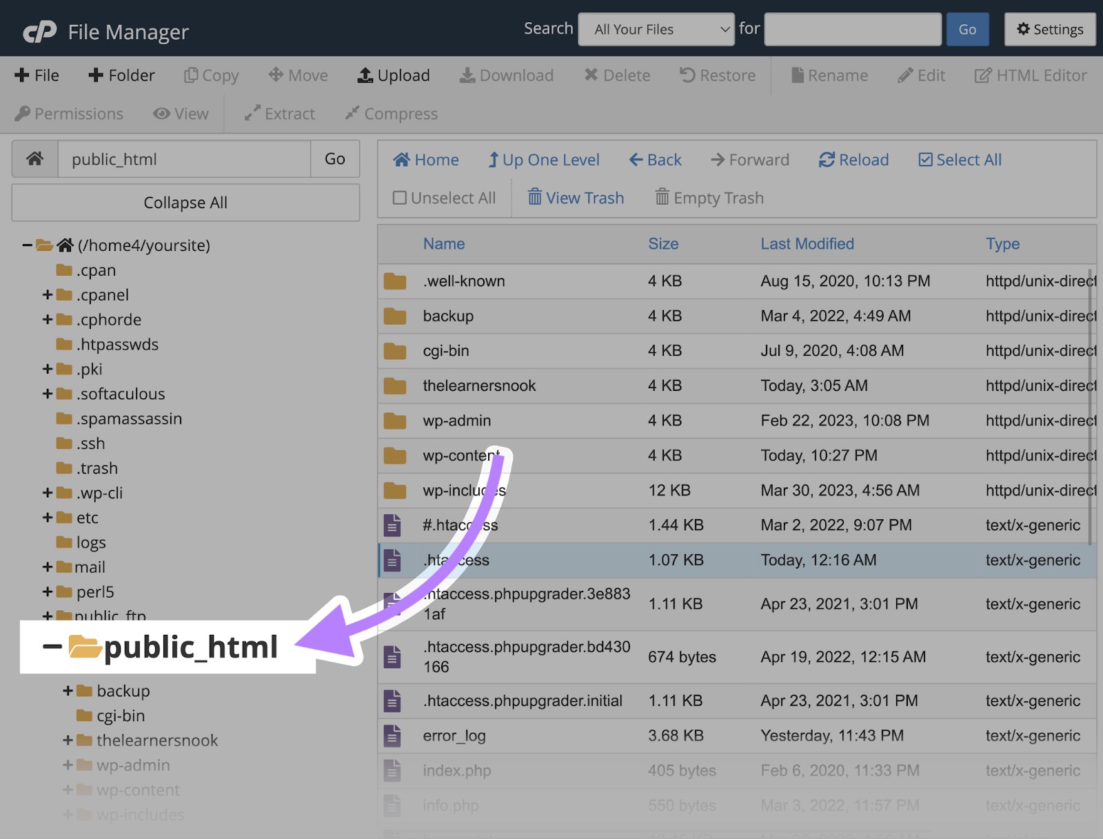 "public_html" selected from the left-hand side menu of the "File Manager" on cPanel.