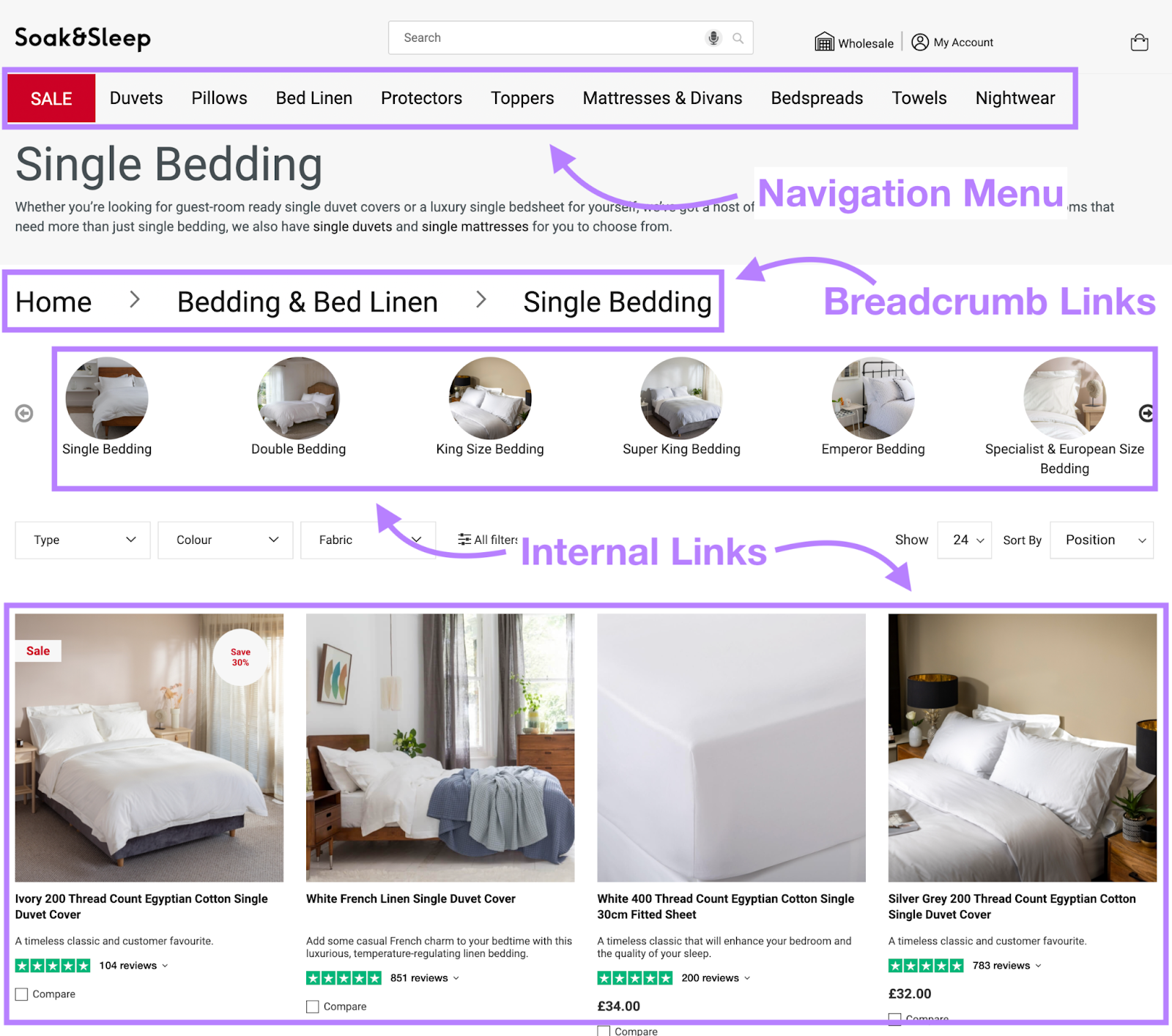 website elements are highlighted on page