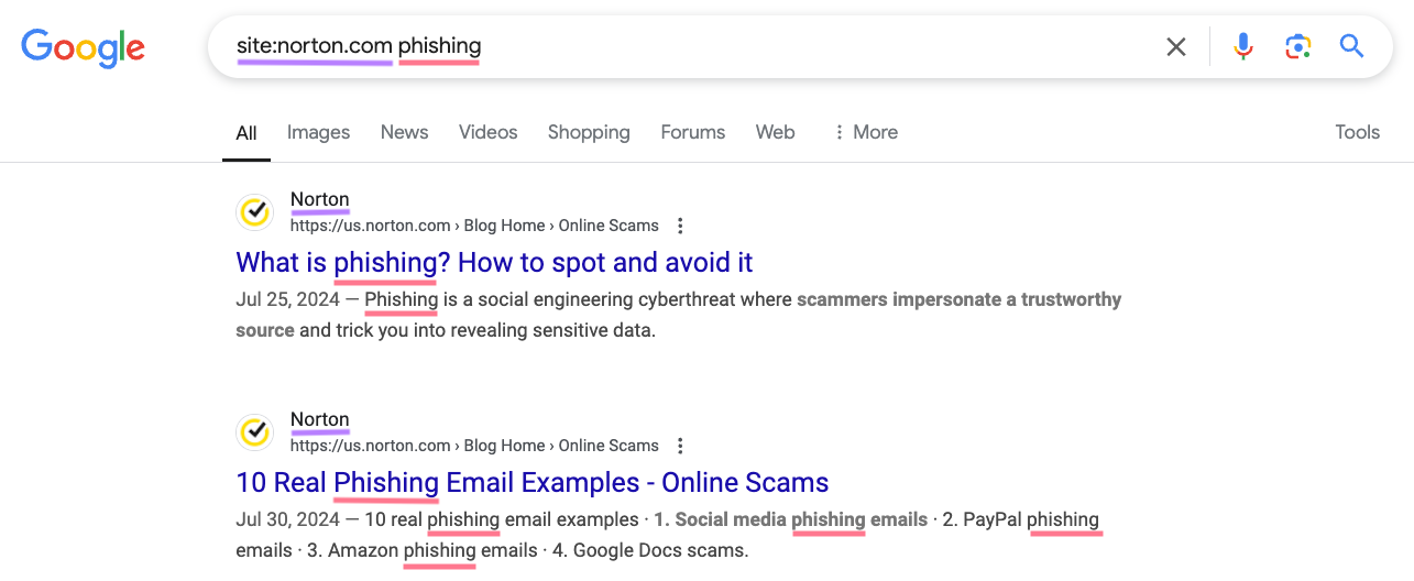 A search for the term "phishing" specifically on the domain "norton.com."
