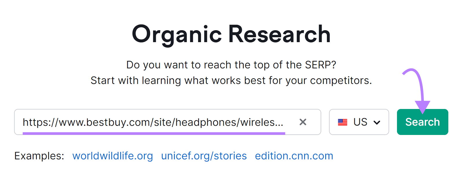Organic Rankings tool search bar
