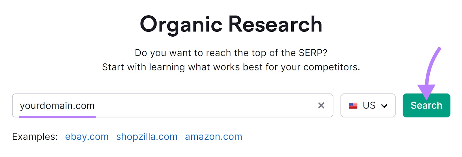 Organic Rankings tool search bar