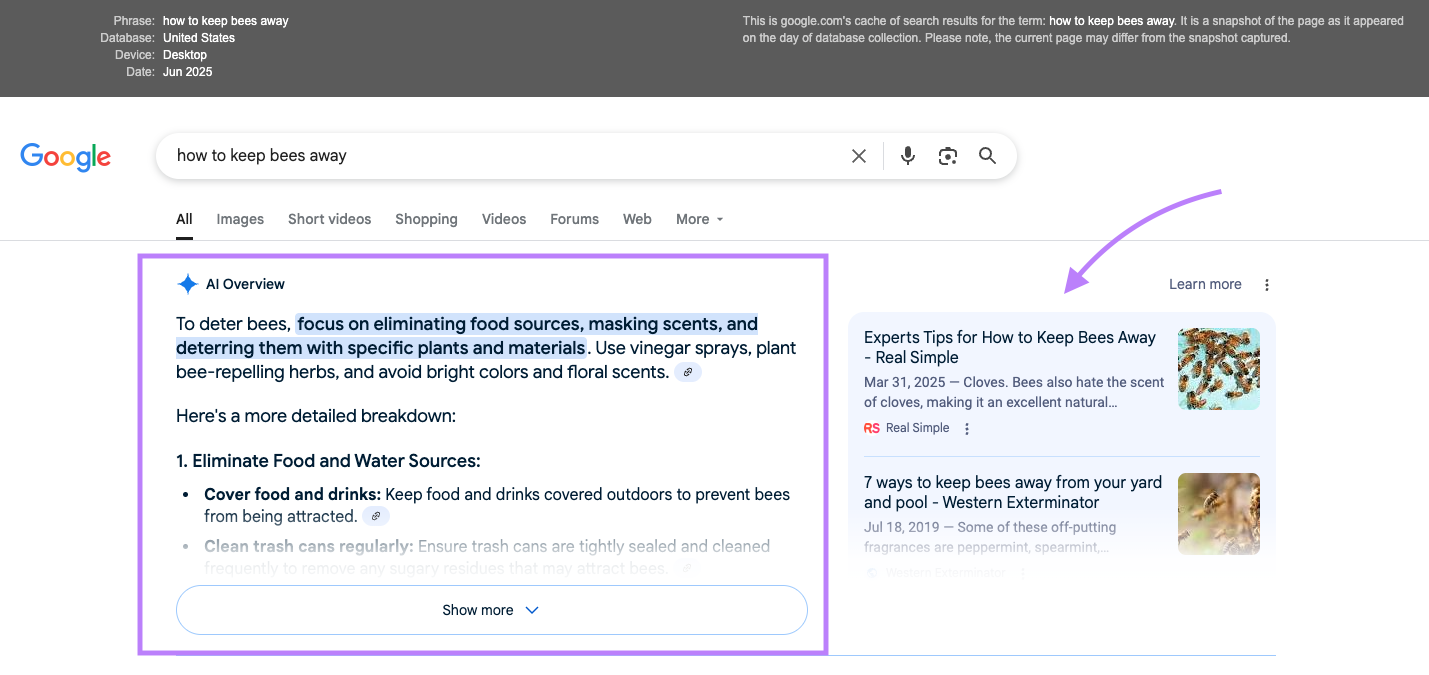 SERP snapshot showing sources cited in AI Overview
