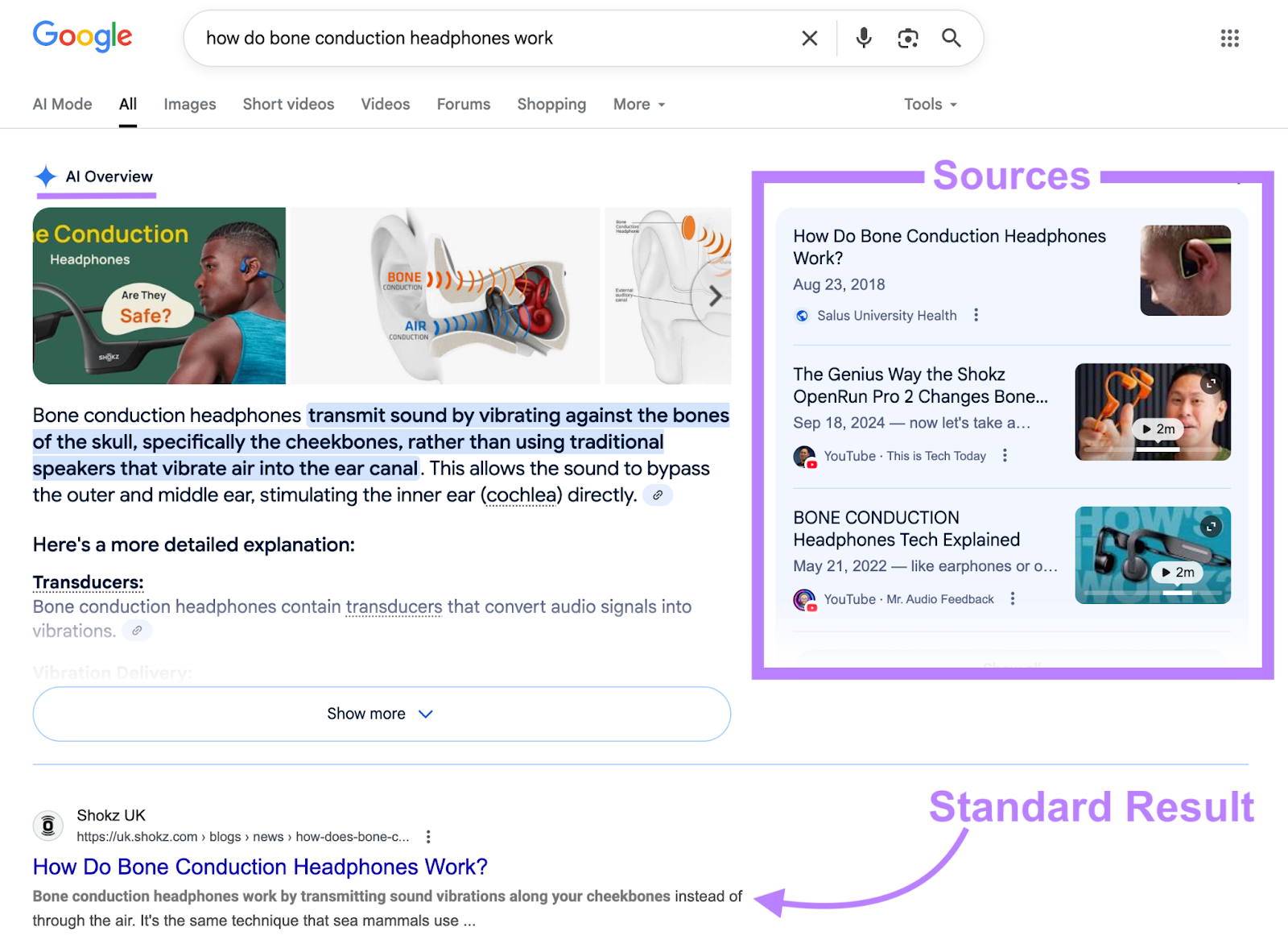 The AI Overview appears at the top of the SERP with sources while the standard results appear below.