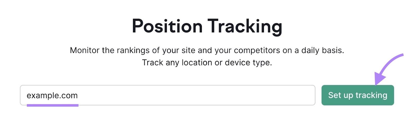 Position Tracking tool start with a domain name entered and “Set Up Tracking” clicked.