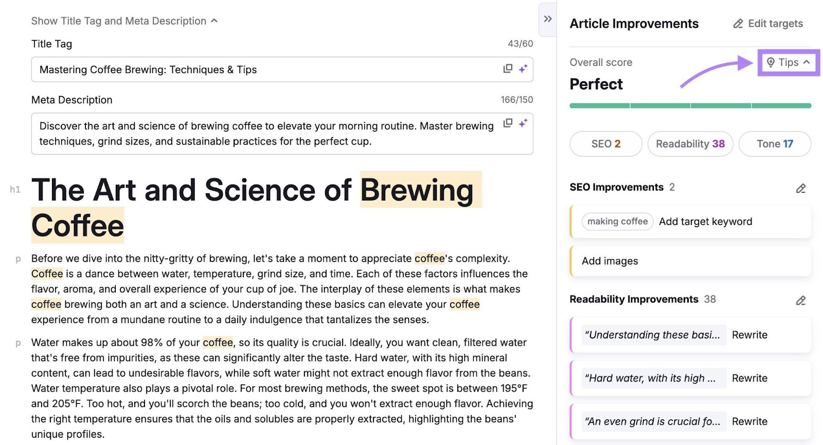 AI Article Generator with a blog post generated on the left and article improvement tips on the right.