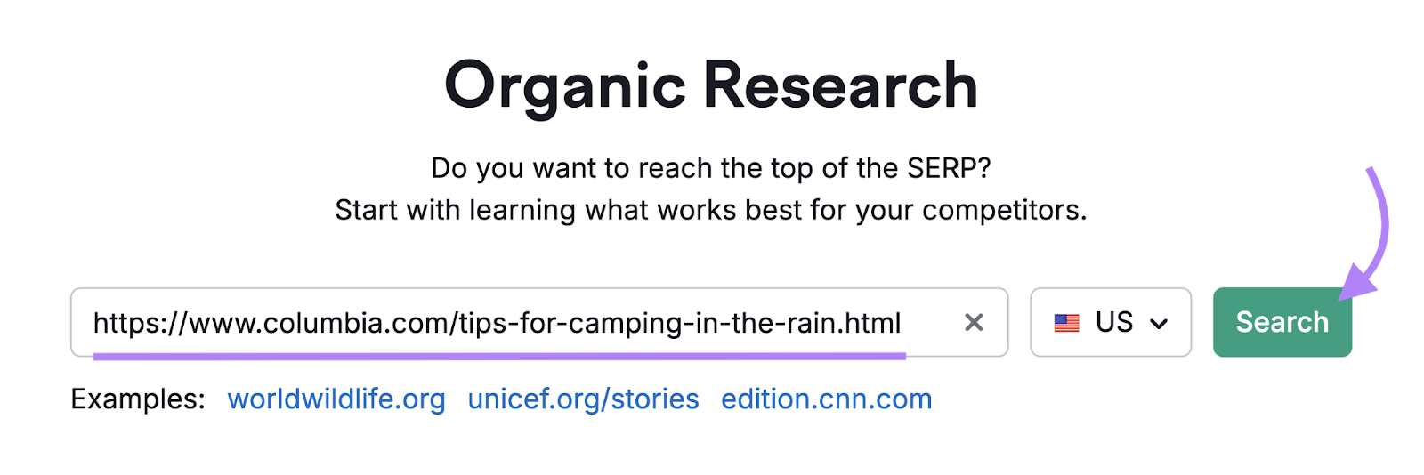 search for competitor url in Organic Rankings