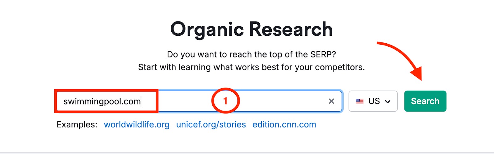 Organic Research start page featuring a field to enter a domain for analysis.