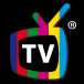 questaseratv.it favicon